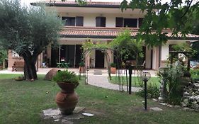 Bed And Breakfast Picchio Verde